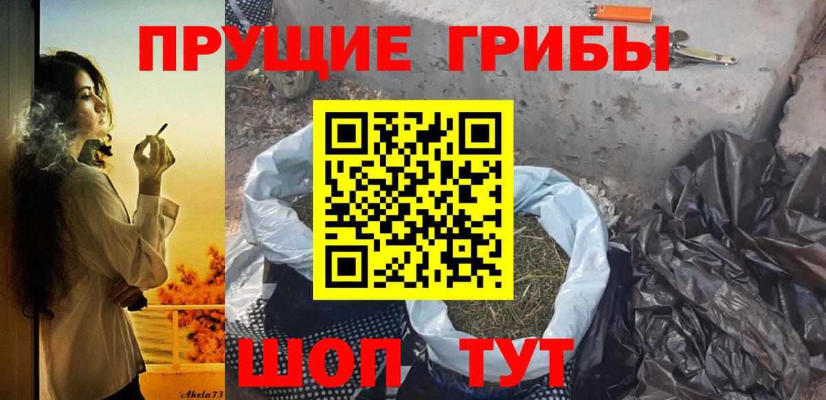Псилоцибиновые грибы прущие грибы Можайск